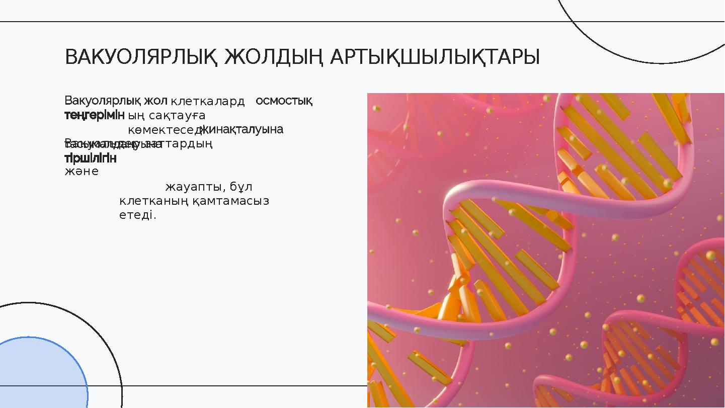 клеткалард ың сақтауға көмектеседі. Вакуольдер заттардың және жауапты, бұл клетканың қамтамасыз етеді. ВАКУОЛЯРЛЫҚ ЖОЛДЫҢ АРТ