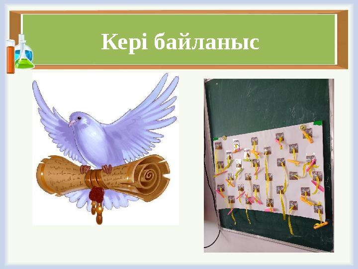 Кері байланыс