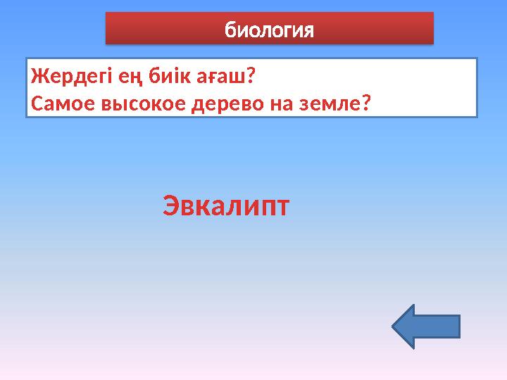 Жердегі ең биік ағаш? Самое высокое дерево на земле? Эвкалипт биология