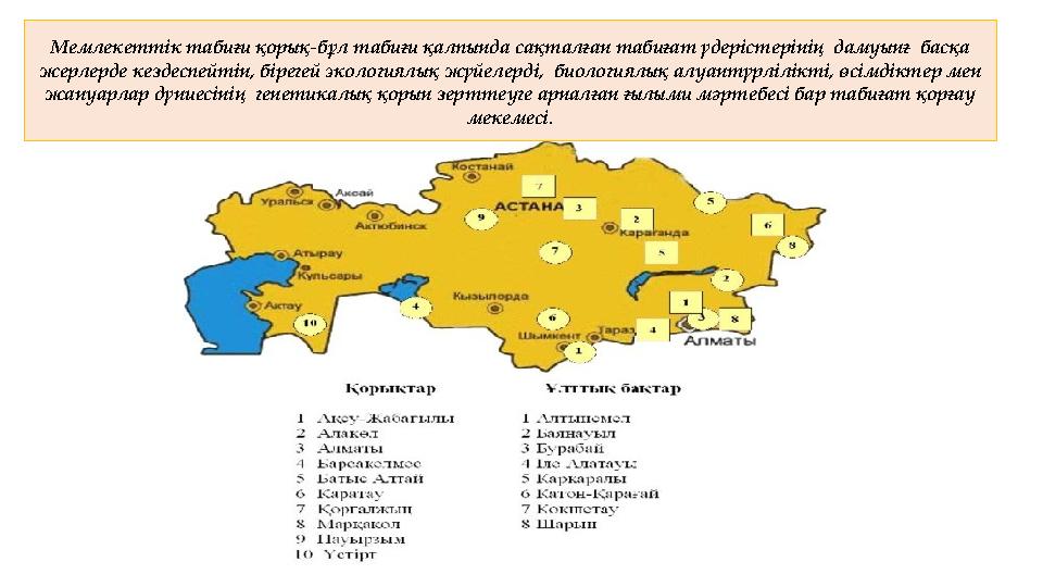 Мемлекеттік табиғи қорық-бұл табиғи қалпында сақталған табиғат үдерістерінің дамуынғ басқа жерлерде кездеспейтін, бірегей эко