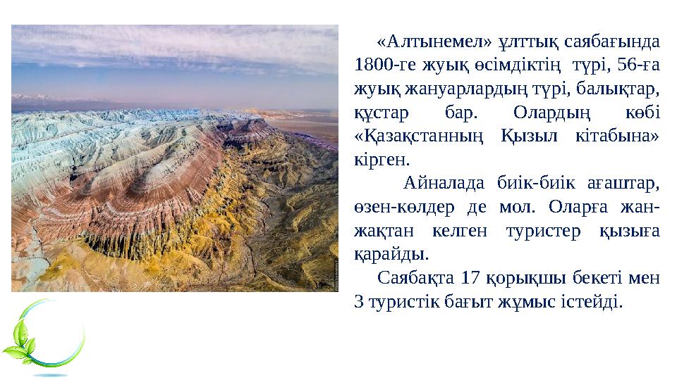 «Алтынемел» ұлттық саябағында 1800-ге жуық өсімдіктің түрі, 56-ға жуық жануарлардың түрі, балықтар, құстар бар. Олардың к «Алтынемел» ұлттық саябағында 1800-ге жуық өсімдіктің түрі, 56-ға жуық жануарлардың түрі, балықтар, құстар бар. Олардың к