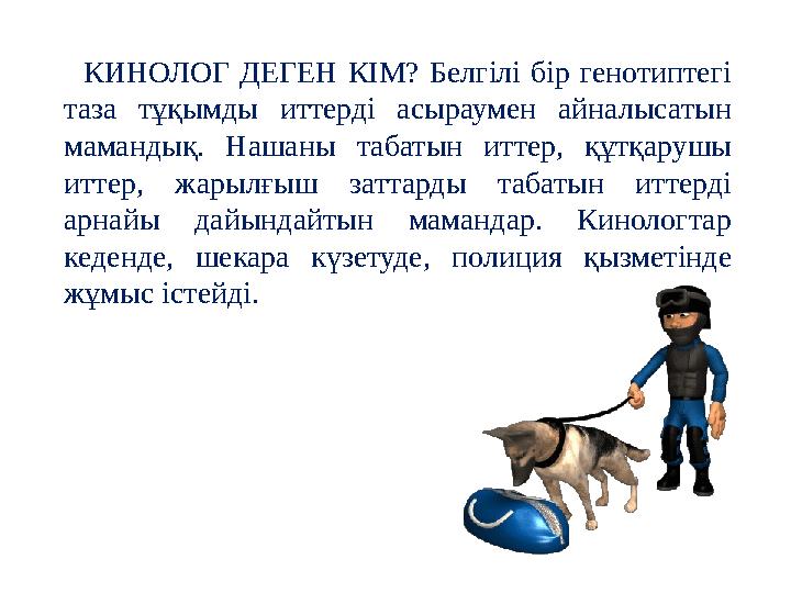 КИНОЛОГ ДЕГЕН КІМ? Белгілі бір генотиптегі таза тұқымды иттерді асыраумен айналысатын мамандық. Нашаны табатын иттер, құтқаруш