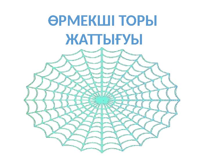 ӨРМЕКШІ ТОРЫ ЖАТТЫҒУЫ