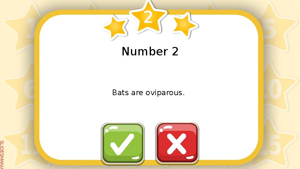 S L I D E S M A N I A . C O M Number 2 Bats are oviparous.