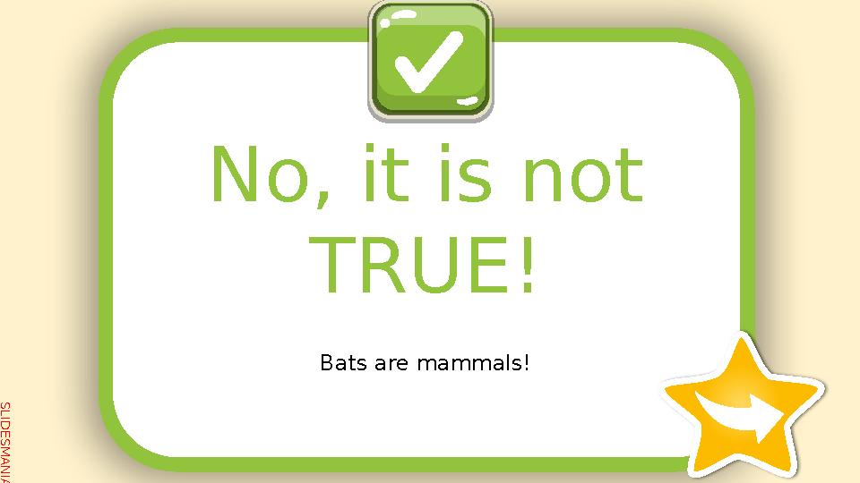S L I D E S M A N I A . C O M Bats are mammals! No, it is not TRUE!