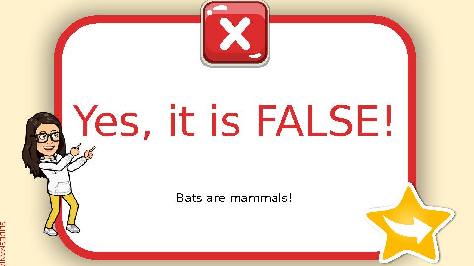 S L I D E S M A N I A . C O M Bats are mammals! Yes, it is FALSE!