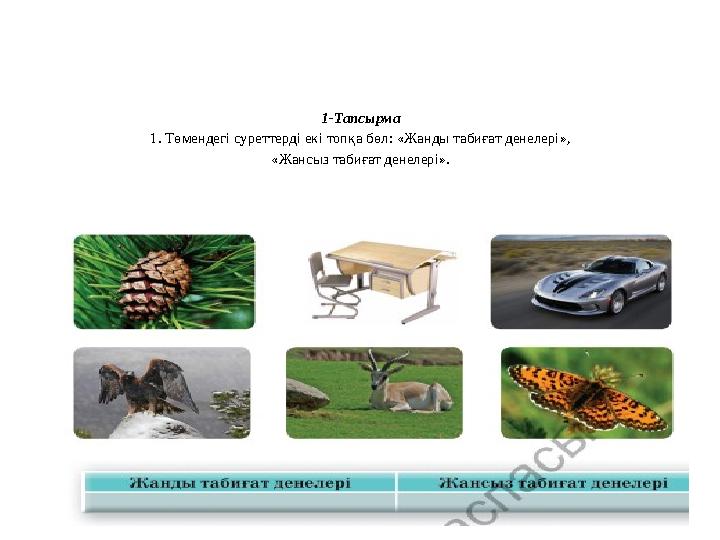 1-Тапсырма 1. Төмендегі суреттерді екі топқа бөл: «Жанды табиғат денелері», «Жансыз табиғат денелері».