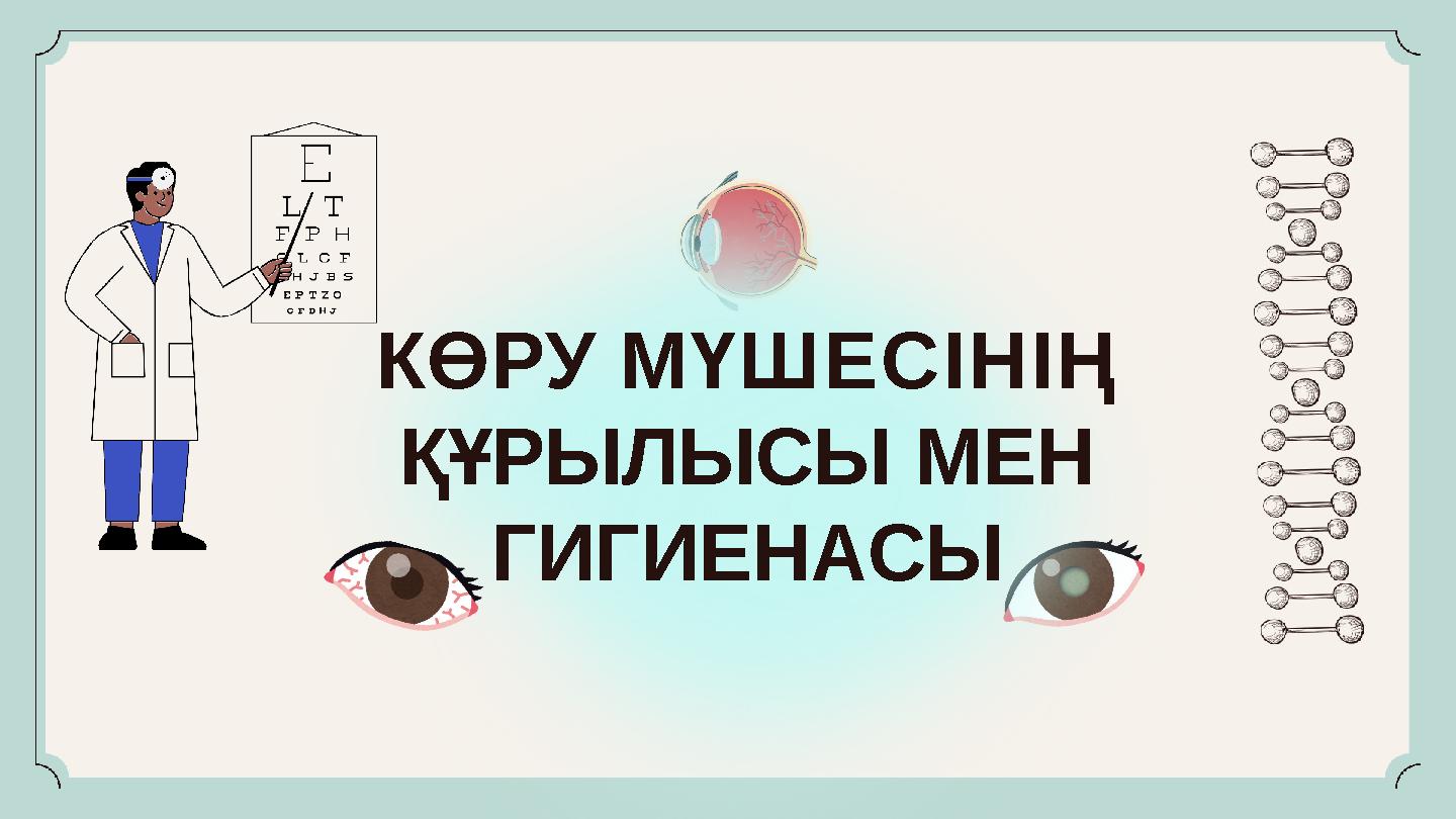 КӨРУ МҮШЕСІНІҢ ҚҰРЫЛЫСЫ МЕН ГИГИЕНАСЫ
