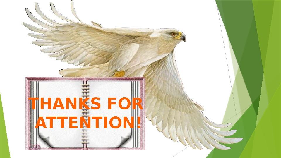 THANKS FOR ATTENTION!