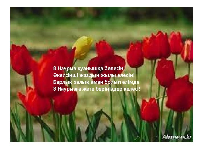 8 Наурыз қуанышқа бөлесін! Әкелсінші жаздың жылы елесін! Барлық халық аман болып елімде 8 Наурызға жете беріңіздер келесі!