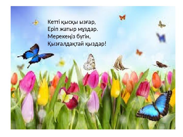 Кетті қысқы ызғар, Еріп жатыр мұздар. Мерекеңіз бүгін, Қызғалдақтай қыздар!