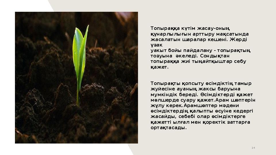 14 Топыраққа күтім жасау-оның құнарлылығын арттыру мақсатында жасалатын шаралар кешені. Жерді ұзак уакыт бойы пайдалану - топыр 14 Топыраққа күтім жасау-оның құнарлылығын арттыру мақсатында жасалатын шаралар кешені. Жерді ұзак уакыт бойы пайдалану - топыр