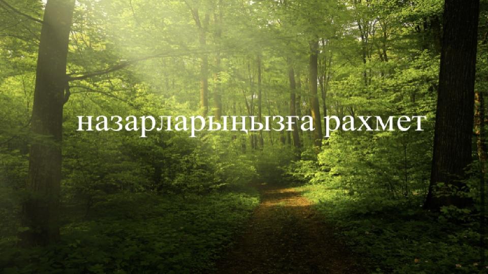 PRESENTATION TITLE 17 CLICK TO EDIT TITLE Click to edit master text style Click to edit master text style Click to edit master t PRESENTATION TITLE 17 CLICK TO EDIT TITLE Click to edit master text style Click to edit master text style Click to edit master t