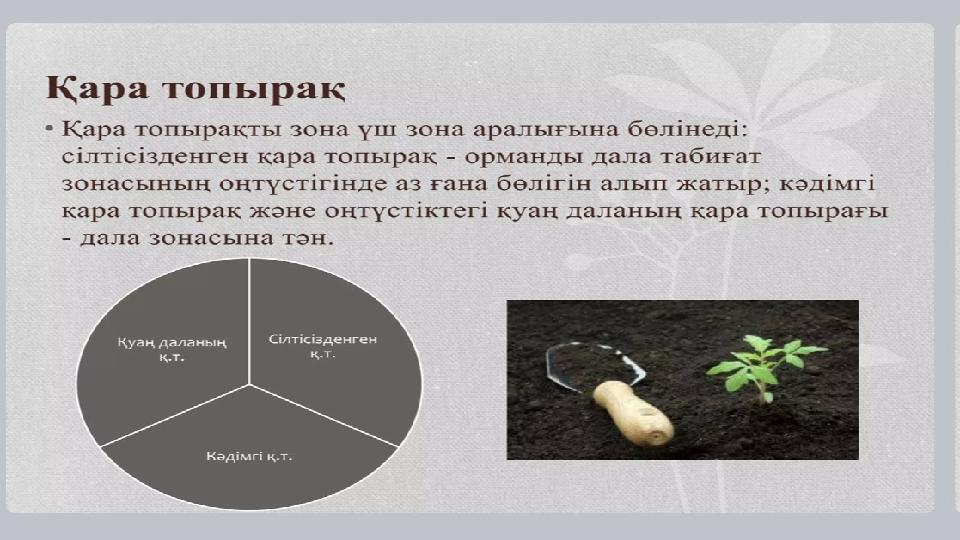 PRESENTATION TITLE 5 CLICK TO EDIT TITLE Click to edit master text style Click to edit master text style Click to edit master te PRESENTATION TITLE 5 CLICK TO EDIT TITLE Click to edit master text style Click to edit master text style Click to edit master te