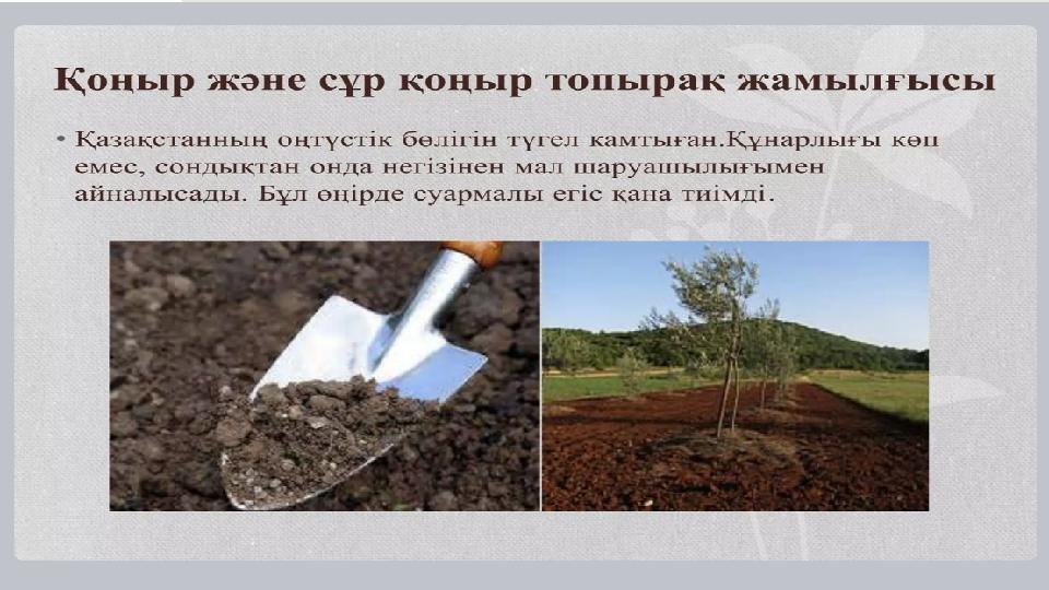 PRESENTATION TITLE 8 CLICK TO EDIT TITLE Click to edit master text style Click to edit master text style Click to edit master te PRESENTATION TITLE 8 CLICK TO EDIT TITLE Click to edit master text style Click to edit master text style Click to edit master te