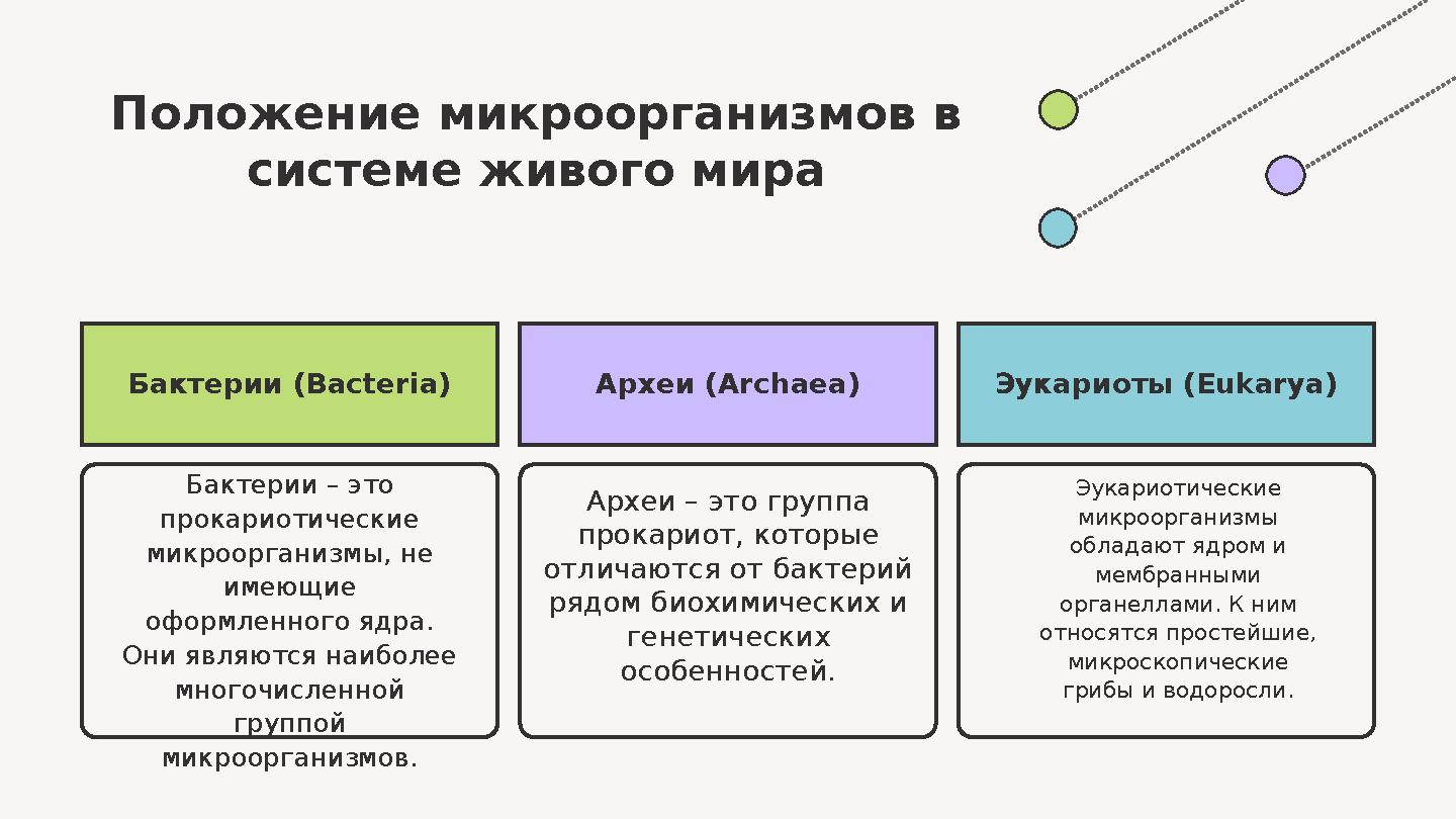 Бактерии (Bacteria) Археи – это группа прокариот, которые отличаются от бактерий рядом биохимических и генетических особенн Бактерии (Bacteria) Археи – это группа прокариот, которые отличаются от бактерий рядом биохимических и генетических особенн