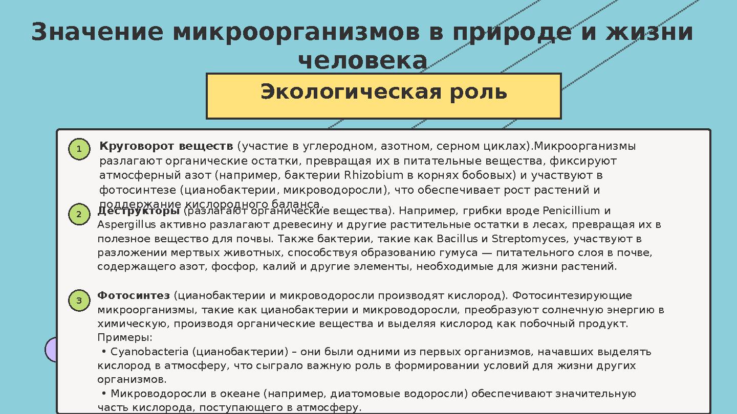 Экологическая роль 1Круговорот веществ (участие в углеродном, азотном, серном циклах).Микроорганизмы разлагают органические Экологическая роль 1Круговорот веществ (участие в углеродном, азотном, серном циклах).Микроорганизмы разлагают органические