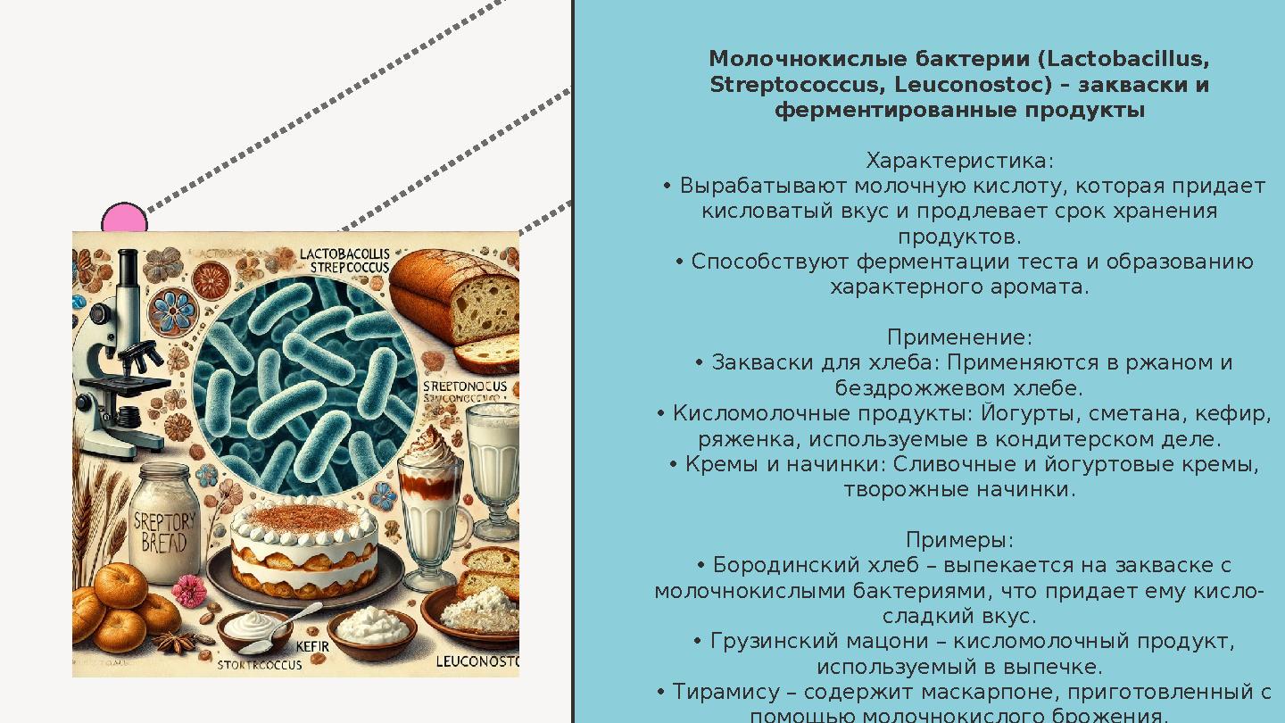Молочнокислые бактерии (Lactobacillus, Streptococcus, Leuconostoc) – закваски и ферментированные продукты Характеристика: Молочнокислые бактерии (Lactobacillus, Streptococcus, Leuconostoc) – закваски и ферментированные продукты Характеристика: