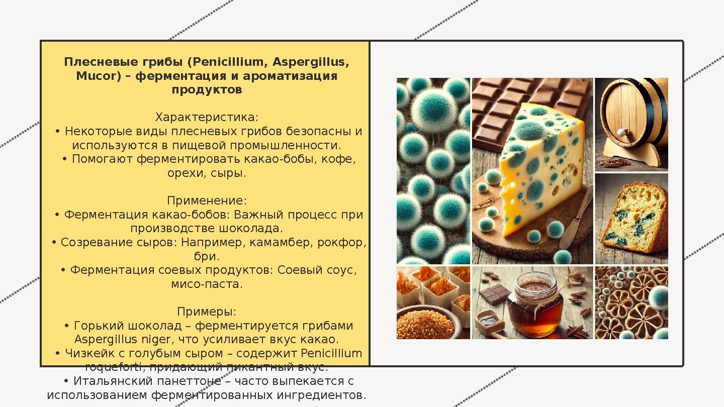 Плесневые грибы (Penicillium, Aspergillus, Mucor) – ферментация и ароматизация продуктов Характеристика: • Некоторые виды Плесневые грибы (Penicillium, Aspergillus, Mucor) – ферментация и ароматизация продуктов Характеристика: • Некоторые виды