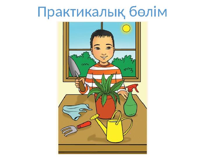 Практикалық бөлім