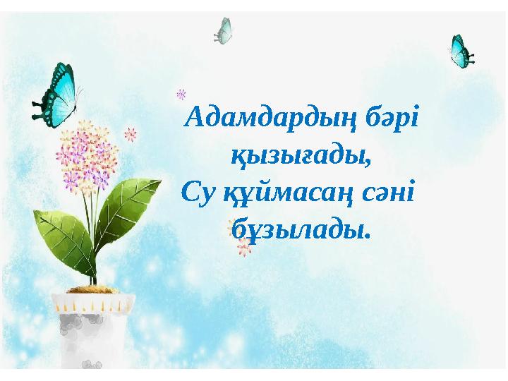 Адамдардың бәрі қызығады, Су құймасаң сәні бұзылады.