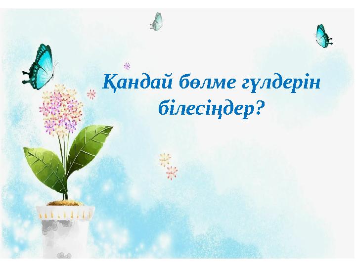 Қандай бөлме гүлдерін білесіңдер?