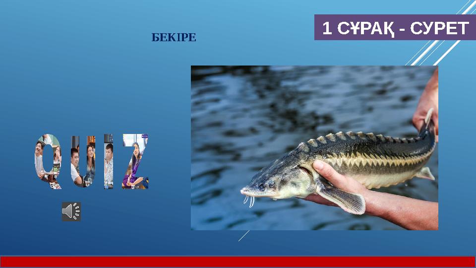 1 СҰРАҚ - СУРЕТ БЕКІРЕ