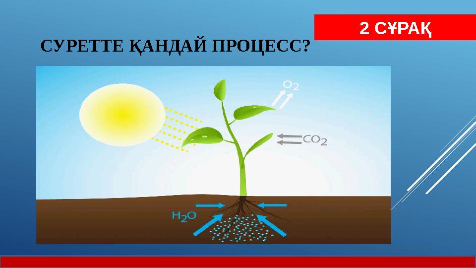 СУРЕТТЕ ҚАНДАЙ ПРОЦЕСС ? 2 СҰРАҚ
