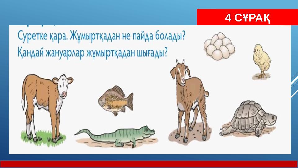 4 СҰРАҚ