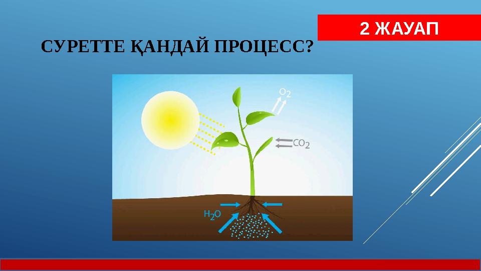 СУРЕТТЕ ҚАНДАЙ ПРОЦЕСС ? 2 ЖАУАП