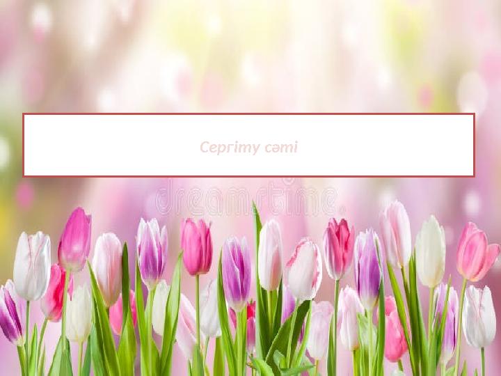 Сергіту сәті