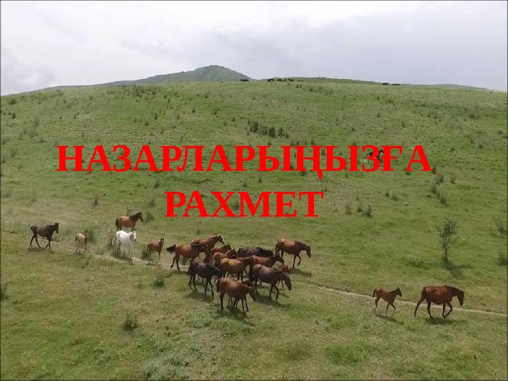 НАЗАРЛАРЫҢЫЗҒА РАХМЕТ
