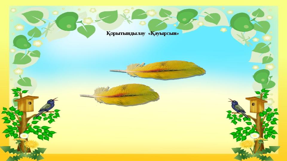 Қорытындылау «Қауырсын»