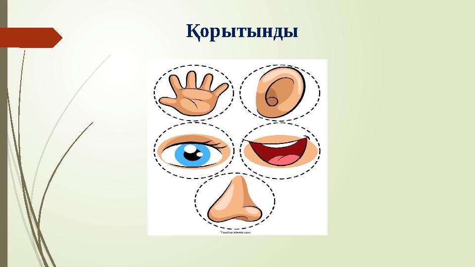 Қорытынды
