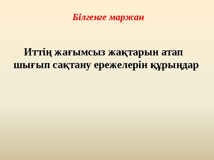 Білгенге маржан Иттің жағымсыз жақтарын атап шығып сақтану ережелерін құрыңдар