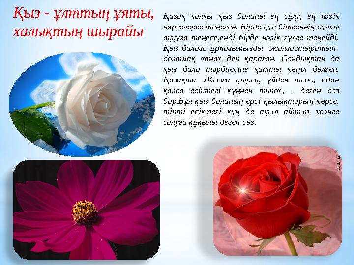 Қазақ халқы қыз баланы ең сұлу, ең нәзік нәрселерге теңеген. Бірде құс біткеннің сұлуы аққуға теңесе,енді бірде нәзік гүлге