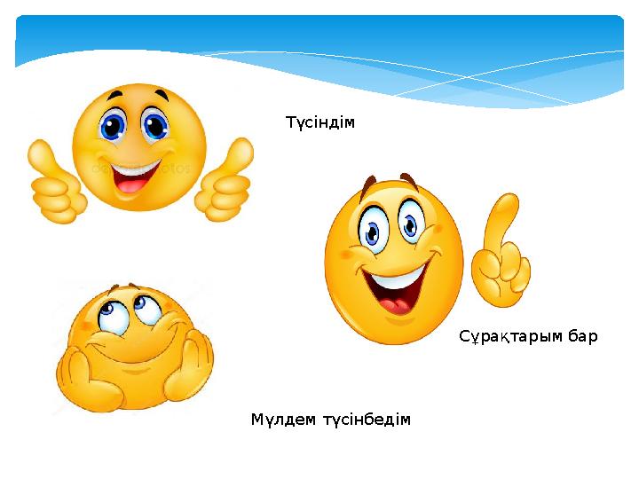 Түсіндім Сұрақтарым бар Мүлдем түсінбедім