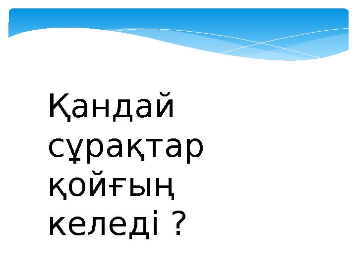 Қандай сұрақтар қойғың келеді ?