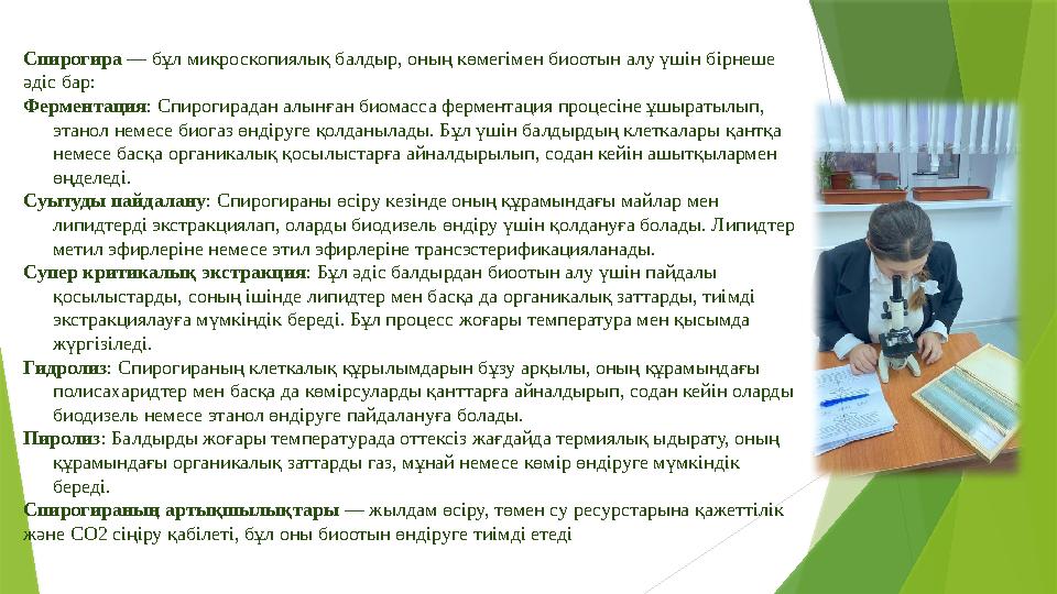 Спирогира — бұл микроскопиялық балдыр, оның көмегімен биоотын алу үшін бірнеше әдіс бар: Ферментация: Спирогира