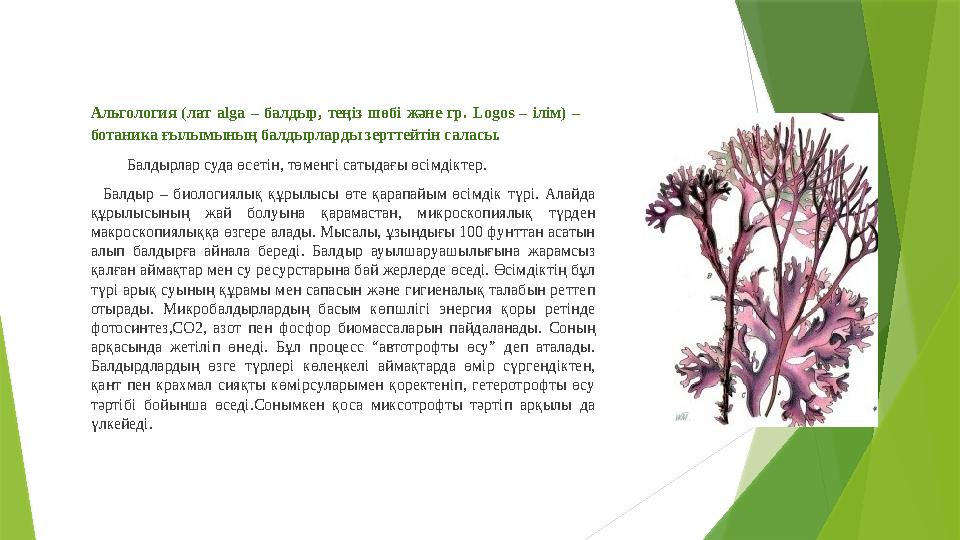 Альгология (лат alga – балдыр, теңіз шөбі және гр. Logos – ілім) – ботаника ғылымының балдырларды зерттейтін