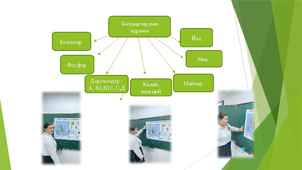 Балдырлардың құрамы Фосфор Майлар Йод Белоктар Мыс Дәрумендер : А, В1,В12, С,Д Калий, кальций