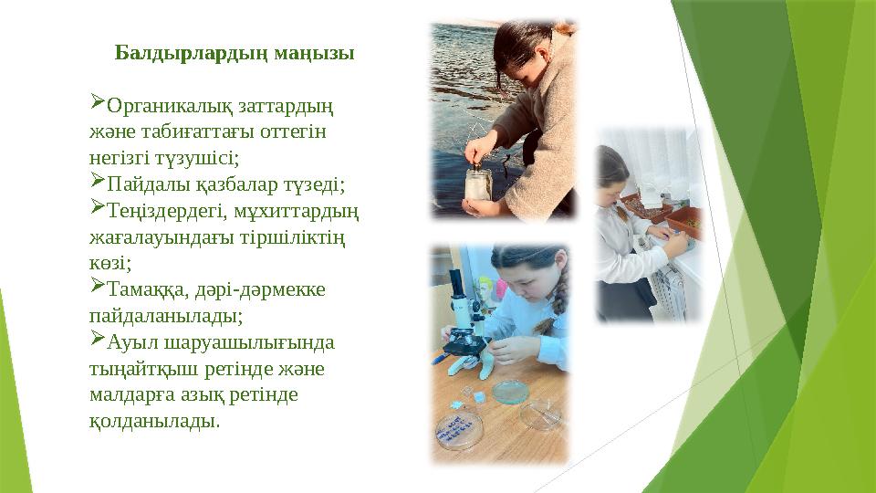 Балдырлардың маңызы Органикалық заттардың және табиғаттағы оттегін негізгі түзушісі; Пайдалы қазбалар түзеді