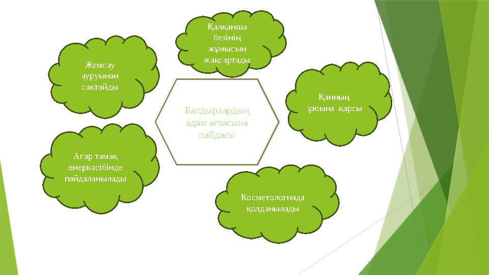 Жемсау ауруынан сақтайды Қалқанша безінің жұмысын жақсартады Қанның ұюына қарсы Агар тамақ өнеркәсібінде