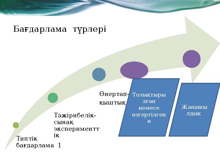 Типтік бағдарлама 1 Тәжірибелік- сынақ экспериментт ік Өнертап- қыштық Бағдарлама түрлері Толықтыры лған немесе өзгерті