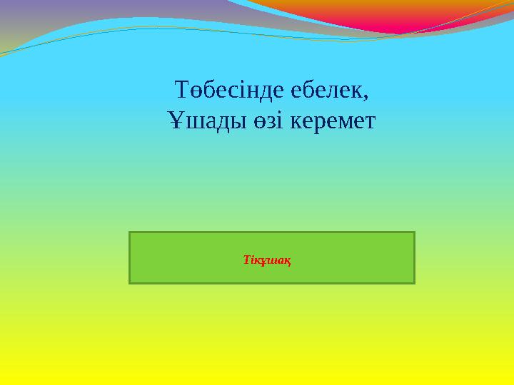 Тікұшақ Төбесінде ебелек, Ұшады өзі керемет