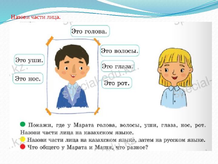 Назови части лица. Назови части лица.