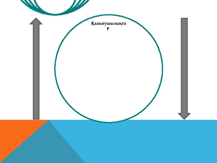 Қызығушылықта р