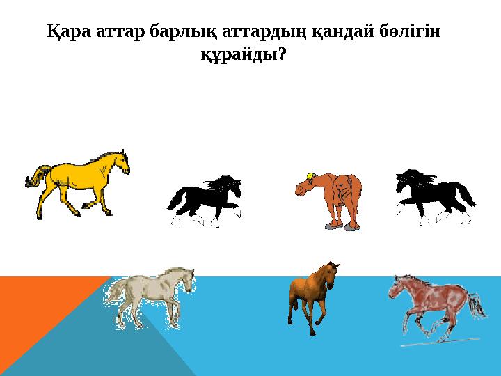 Қара аттар барлық аттардың қандай бөлігін құрайды?