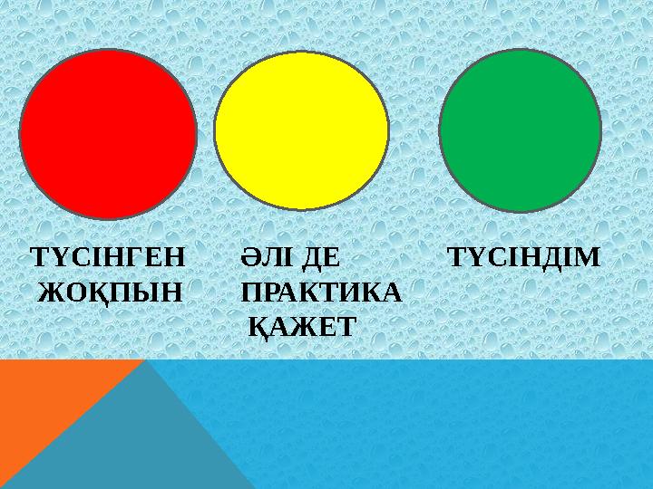 ТҮСІНГЕН ЖОҚПЫН ӘЛІ ДЕ ПРАКТИКА ҚАЖЕТ ТҮСІНДІМ