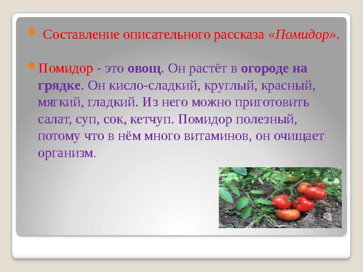 Составление описательного рассказа «Помидор». Помидор - это овощ. Он растёт в огороде на грядке. Он кисло-сладкий, круглый Составление описательного рассказа «Помидор». Помидор - это овощ. Он растёт в огороде на грядке. Он кисло-сладкий, круглый